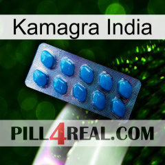 Kamagra India viagra1